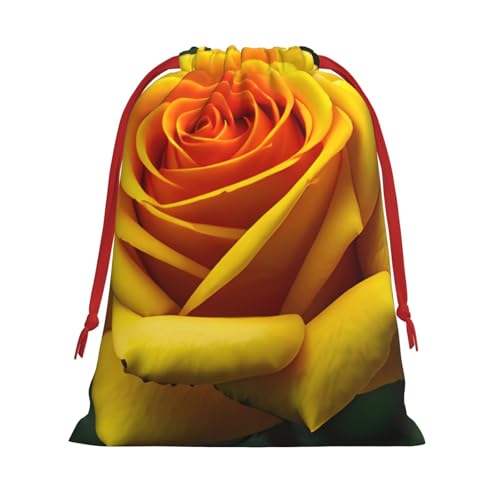 HTTUP CG[[Y Gvg ėp\ Mtg ֗ȃ|[`  LfB ϕi [ pr