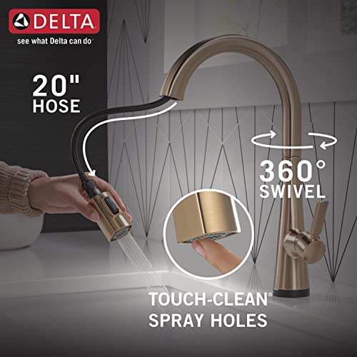 Delta Faucet Monrovia Gold Kitchen Faucet Touch, Touch Kitchen Faucets with Pull Down Sprayer, Touch2O Technology, Glass Rinser Included, Lumicoat Champagne Bronze 9191T-CZ-PR-DST