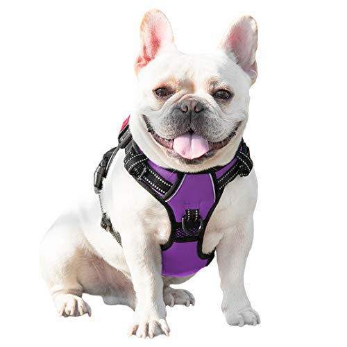 Phoepet Reflective Dog Harness Large Breed Adjustable No Pull Vest With With Handle 2 Metal Rings 3 Buckles [Easy To Put On & Take Off](L, Purple) #TOP6