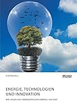  Energie, Technologien und Innovation. Wie lassen sich Energiespeicher sinnvoll nutzen?