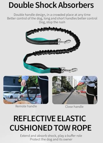 Tomkabo Joggingleine Hund, Freihändige Hundeleine mit Bauchgurt – Joggen, Laufen, Wandern, Spaziergänge, elastisch, stoßdämpfend, reflektierend, mit Tasche, 130-180cm