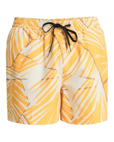 Pantalones Cortos Hombre Quiksilver Everyday Bañador Deportivo Tipo Volley 15 con Estampado