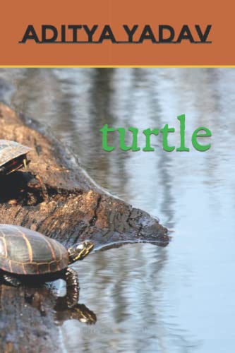 turtule
