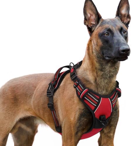 rabbitgoo Hundegeschirr Grosse Hunde Leichtes Anlegen, XL, Rot | Anti Zug, Ohne Kopfdurchzug, Halsverschluss mit Sicherung, 2 D-Ringe, Weich Gepolstert, Reflektierend für Gassi & T