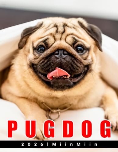 2026 Pug Dog: Cute Expressions, Playful Poses, Dog Lover Joy