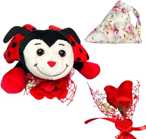 DANCEWEAR Muttertag – Plüsch Marienkäfer Glücksbringer – Schlüsselanhänger Geldbörse – Bouquet Rose Rot – Kunsthandwerk – Geschenkbox
