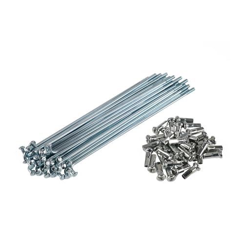 36 rayons avant adaptés pour moto CT90 SS50 C50 C70 CL70 C100 jante 17