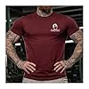 GYMTIER Sons of Odin Iron Oath - Viking - Men's Gym T-Shirt - Bodybuilding Workout Top, Maroon, XXL #1