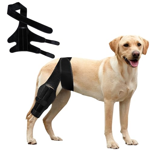 Knieorthese für Hunde bei gerissenem vorderen Kreuzband am Hinterbein, verstellbare Hüftstütze für Hunde bei Patellaluxation, Hundebeinorthese für Hinter- oder Vorderbein seitlichen Stabilisatoren (L)