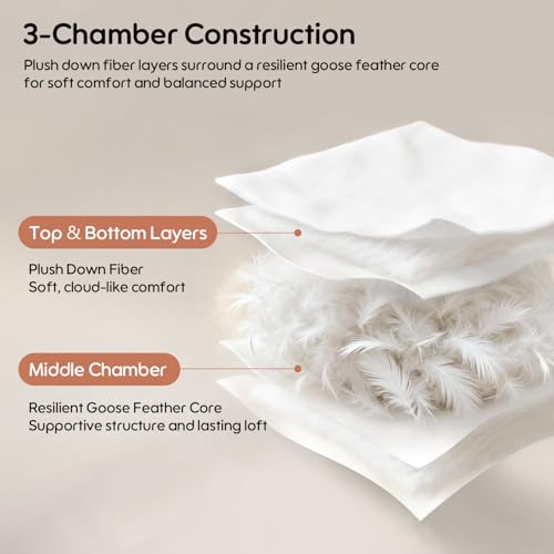 Swandream Goose Feather and Down Bed Pillows Standard Size Set of 2, Luxury 3-Chamber Pillows with Soft & Down-Proof Cover, Fluffy Plush Hotel Pillows for Side, Back & Stomach Sleepers - image 2