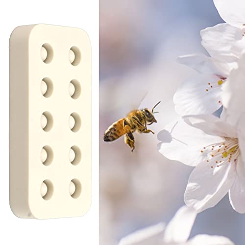 Caixa de criação de apicultura, de criação de rainha, kit de enxerto de apicultura, copos de enxerto