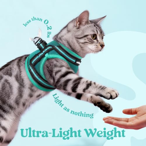 Image of rabbitgoo Cat Harness and Leash Set, Step-in Soft Vest, Turquoise & Green