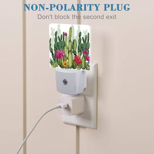 Image of Green Succulents and Cactus Plants Night Light Plug into Wall with Dusk to Dawn Sensor Cute Nightlight for Kid Girls Boys Women Men Room Decor, Hallway, Kitchen, Bathroom, Nursery, Stairs