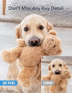 GNCC Indoor Dog Pet Camera with APP, 2K Home CCTV Security Camera, Wifi Baby monitor with Camera and Night Vision, Motion Detection, 2-Way Audio, Works with Alexa/Google, Cloud/SD Storage, 2.4GHz Only