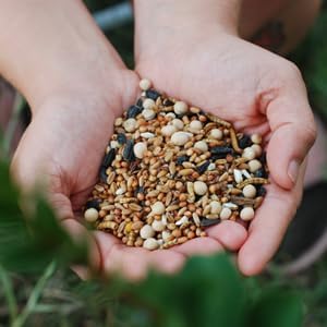 Miniatura 3 de SCRATCHERCISE - Mezcla prémium de pollo y aves de corral para raspar, trigo, milo, guisantes, girasol, cártamo, lino, gusanos de la harina (25