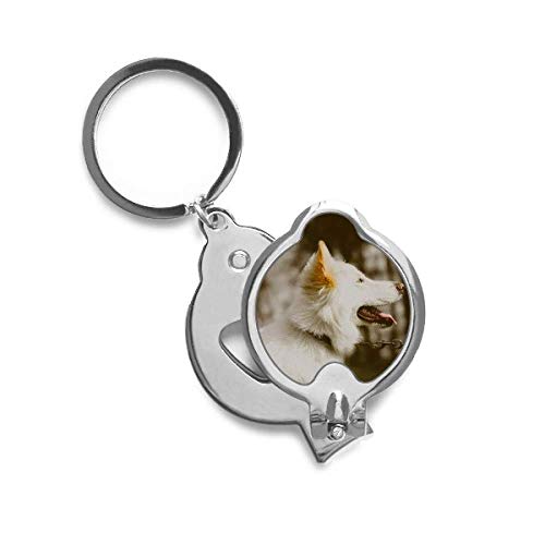 Coupe-ongles chien blanc DIYthinker et soin des griffes de votre animal de compagnie