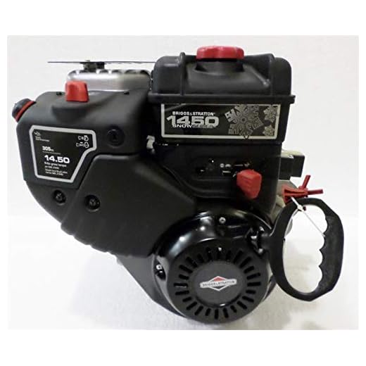 Briggs & Stratton Snow Engine 14.5 TP 305cc ES 3/4" X 2-33/64" #20M307-0001