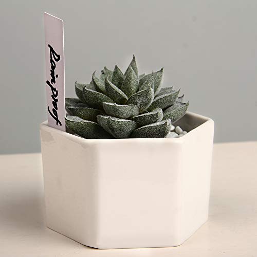 Plant Labels, ZOUTOG 1000 Pcs Plastic Plant Tags 4 Inch Garden Makers with Pen - Thumbnail 3