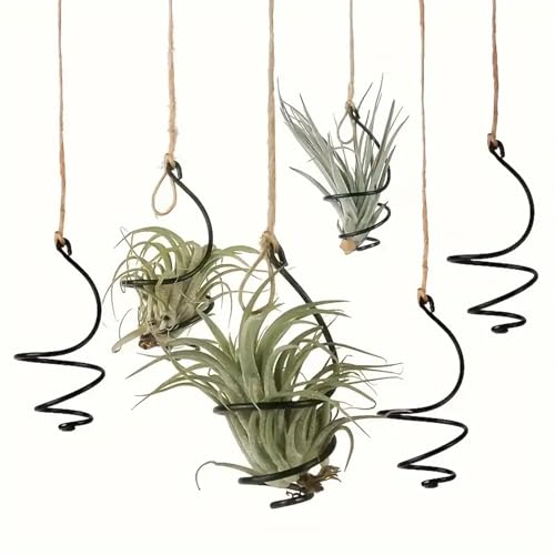 6 pcs set Hanging Air Plant Holder Air Plant Hanger with Jute Ropes, Soilless Air Plant Stand Tillandsia Succulent Display Container for Home Office Decor