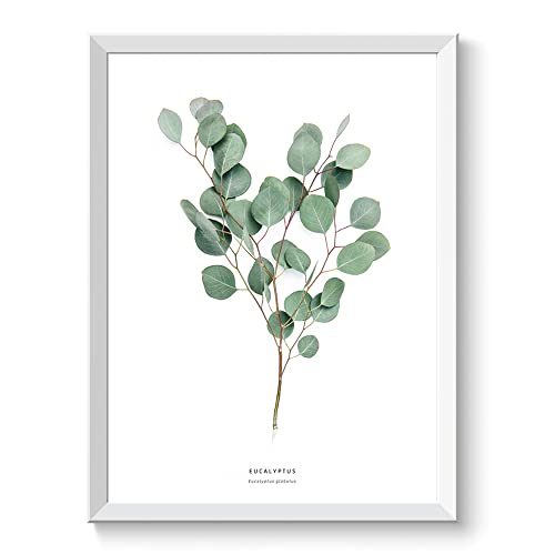 ポスター A4 北欧 木 ユーカリ グリーン 観葉 植物 花 おしゃれ インテリア フレームなし (A4サイズ（210×297mm）ポスターのみ) 038のサムネイル