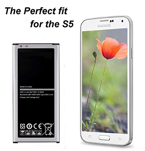 https://m.media-amazon.com/images/I/419sljQTJmL._SL500_.jpg