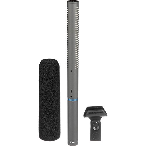 Audio-Technica AT4040 microphone