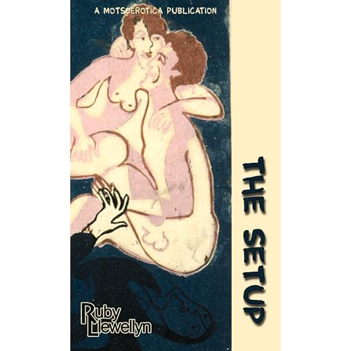 The Setup Audiobook By Ruby Llewellyn cover art
