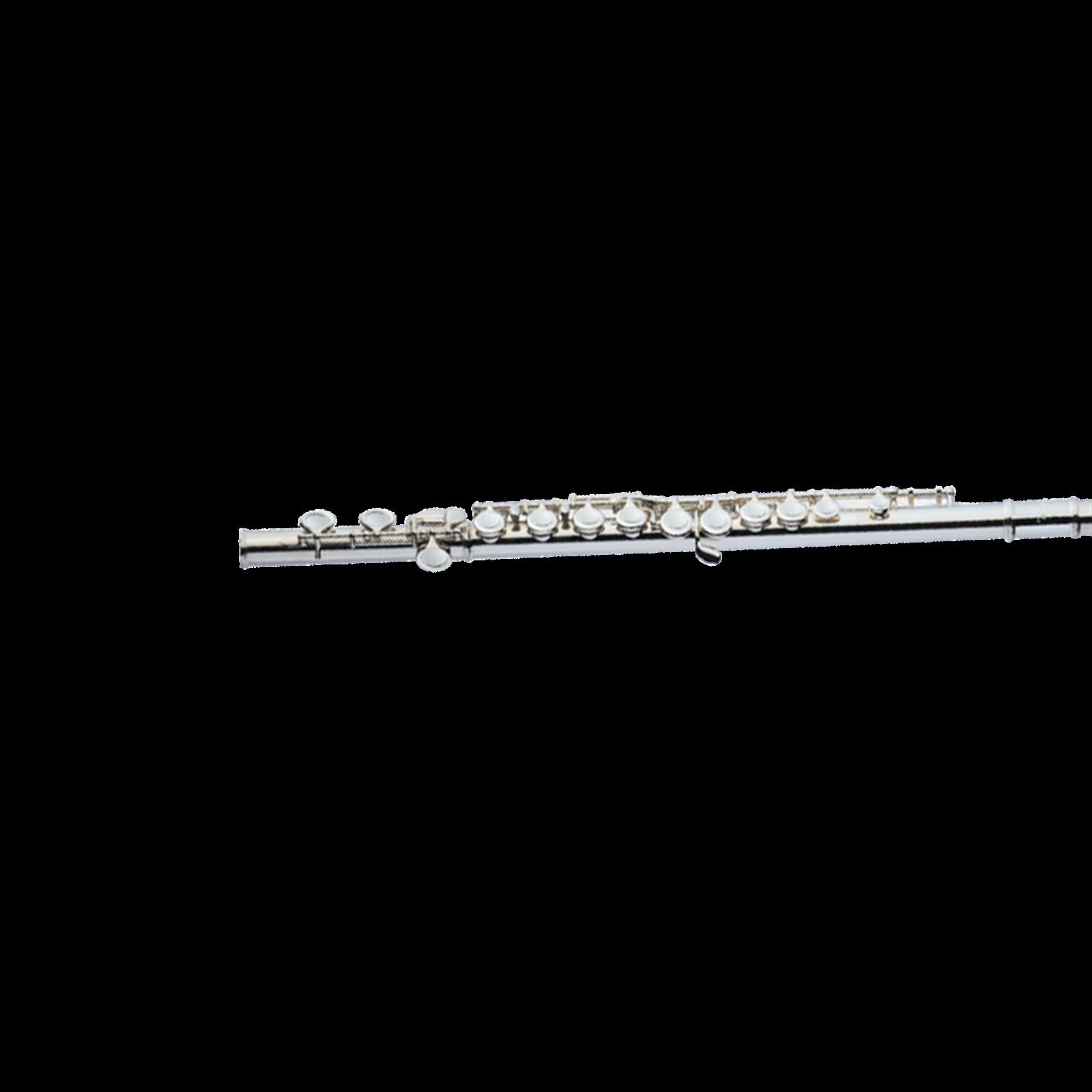 Classic Flûte Traversière Flûte À 16 Trous Fermés En C Plaqué Argent Pour Débutant Instrument Professionnel Pour Examen Performance Professionnelle