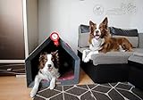 Rexproduct - PetHome Hundehütte mit Liegefläche und Dach I Biss- und Kratzfest I Gute Schalldämmung I Umweltfreundlich & Einfach zu Montieren I Größe S (60x42x43 cm) - Dunkelgrau und Rot