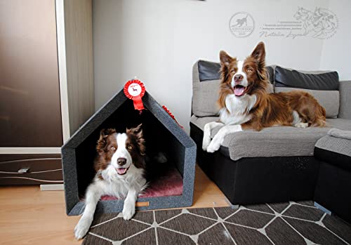 Rexproduct - PetHome Hundehütte mit Liegefläche und Dach I Biss- und Kratzfest I Gute Schalldämmung I Umweltfreundlich & Einfach zu Montieren I Größe S (60x42x43 cm) - Dunkelgrau und Rot