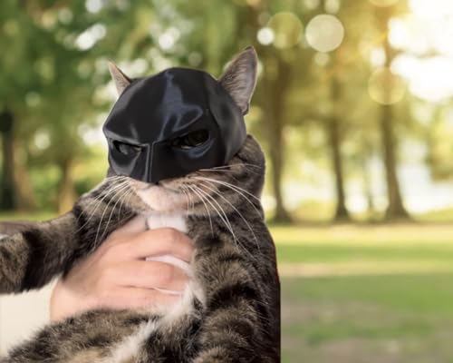 Generic Bat Cat Mask, Costume Mask For Cats thumb #3