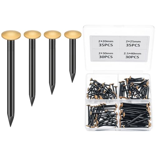 130 Bit Spik för Betongväggar, Set med Stålspik för Betong, Spiksortiment, Väggspik för Tavlor, Urval av Spik för Tegel Gips Trä, Stålspik Set (20/25/30/40mm)