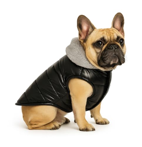Image of The Pets Company Dog Winter Coat Jacket, Cloth, Windproof, Waterproof, Light Weight, Washable, Ultra Warm Thick Fleece Lined Dog Vest for Cold Weather Protection, (Black, Small - Medium - 16 Inch)