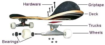 Amazon | Vision Aggressor II スケートボードデッキ - 10.25x30