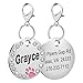 WINDPATY Médaille D'identification pour Animal Domestique en Acier Inoxydable avec Strass et Paillettes pour Chiens et Chats de Petite, Moyenne et Grande Taille(Rose)