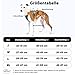 Huntboo Sicherheitsgeschirr Hund Ausbruchsicher, Panikgeschirr für Hunde, Anti Zug Hundegeschirr, Reflektierend, Verstellbare, Leichte Weste für kleine, mittelgroße und große Haustiere (Blau,M)