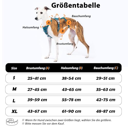 Huntboo Sicherheitsgeschirr Hund Ausbruchsicher, Panikgeschirr für Hunde, Anti Zug Hundegeschirr, Reflektierend, Verstellbare, Leichte Weste für kleine, mittelgroße und große Haustiere (Blau,M)