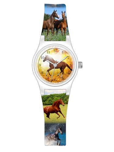 montre cheval