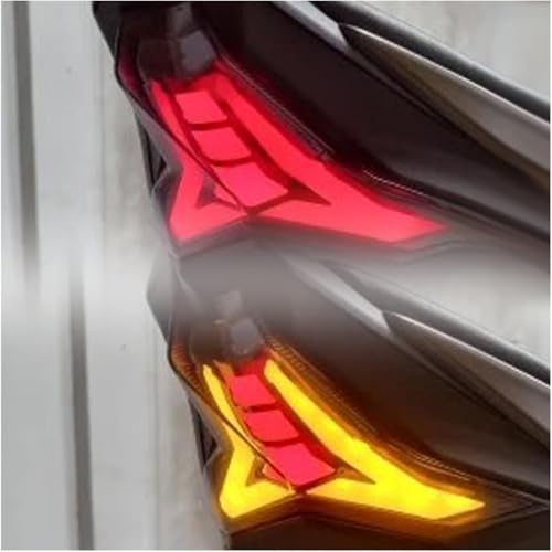Luz trasera para motocicleta Kawasaki Ninja ZX-10R ZX1002 freno 6