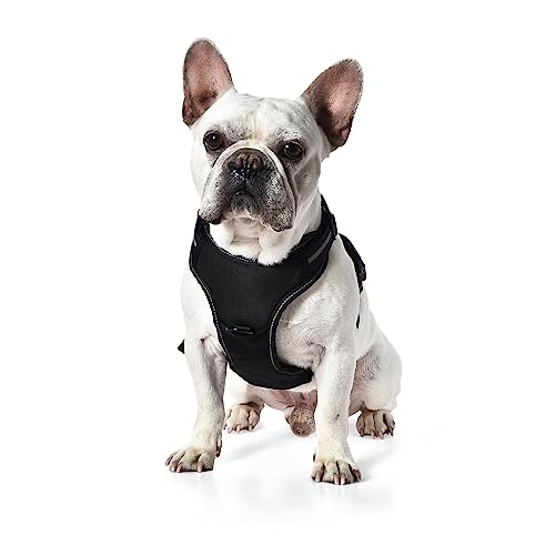 Amazon Basics Anti-Zieh-Hundegeschirr, verstellbar, weich gepolstert, mit reflektierenden Streifen, Schwarz, Größe Mittel