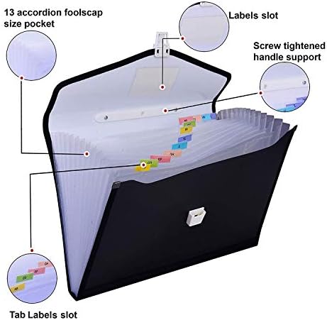 Rangwell File Folder, Accordion Document/Letter A4 Size File Organizer with Handle and 13 Pockets - Assorted Colour