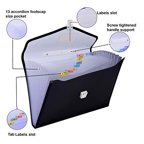 Rangwell File Folder, Accordion Document/Letter A4 Size File Organizer with Handle and 13 Pockets - Assorted Colour