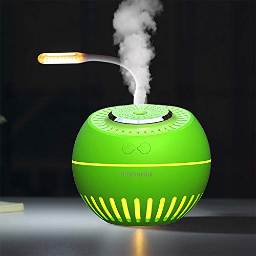 Humidificateur diffuseur d'huiles essentielles contre l'air sec de la maison