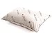 Essence of Copper Pillow – Copper Infused Queen Size Pillows for Healthful Sleep Featuring the Skin Rejuvenating, Anti Aging, Wrinkle Prevention & Antimicrobial Properties of Copper (Crafted In USA)