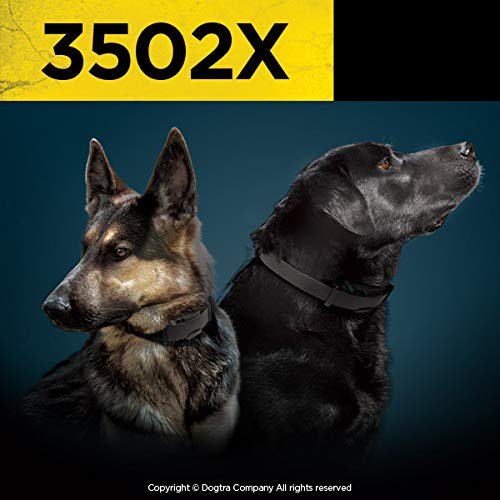 Dogtra 3502X Remote Training E-Collar - 1.5 Mile Range - 2-Dogs, Static, Vibration, Audible Tone, Waterproof, Electric Dog Collar For Advanced And Hunting Training Of Small, Medium, Large Dogs #TOP5