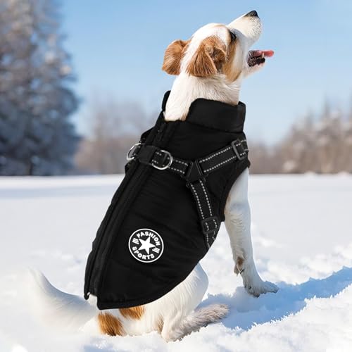 KEYVOR  {A  xXg ȕR[g Ȃ Ԕ DO L ^ ^  hbOEFA H ~ h hWPbg g ybg o U y EȒP  ubN 5XL