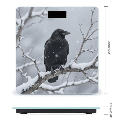 Báscula de baño digital Black Crow con pantalla LCD y vidrio templado 400 lb miniatura 2