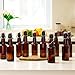 TienChoo 12oz Amber Glass Beer Bottles with Flip Top Airtight Lids, 10 Pack Swinging Top Home Brewing Bottles for Kombucha, Vanilla Extract, Kefir, Juice, Wine, Fermentation