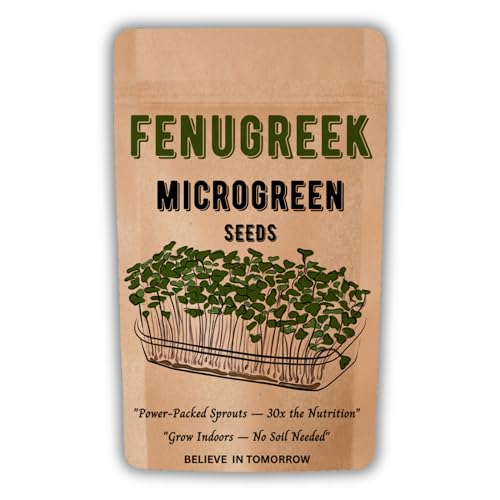 Image of Navika Seeds Fenugreek Microgreen for Hydroponic, Soil & Tray Growing | Fast Germination | High Yield | Non-GMO Methi Microgreens Seeds | Free Growing Guide Included | 100 Gram Packet