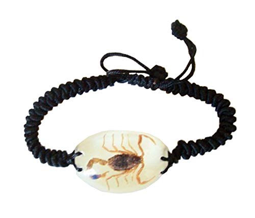 Real Brown Scorpion Bracelet (Glow in the Dark)